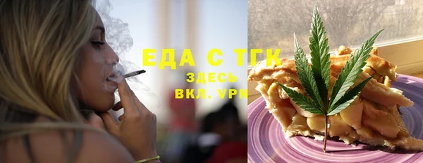spice Инта