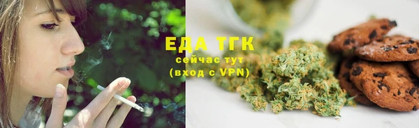 spice Инта
