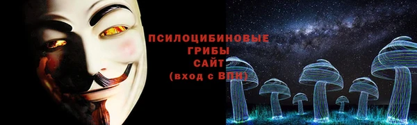 a pvp Инсар