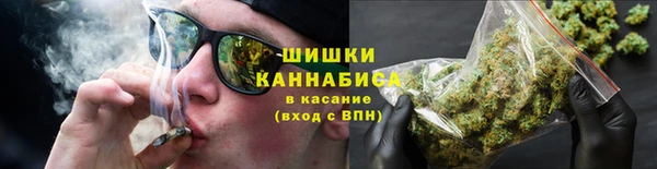 a pvp Инсар