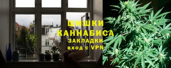 spice Инта
