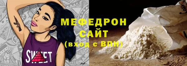 spice Инта