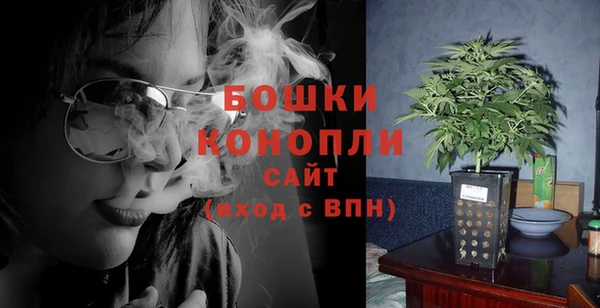 spice Инта
